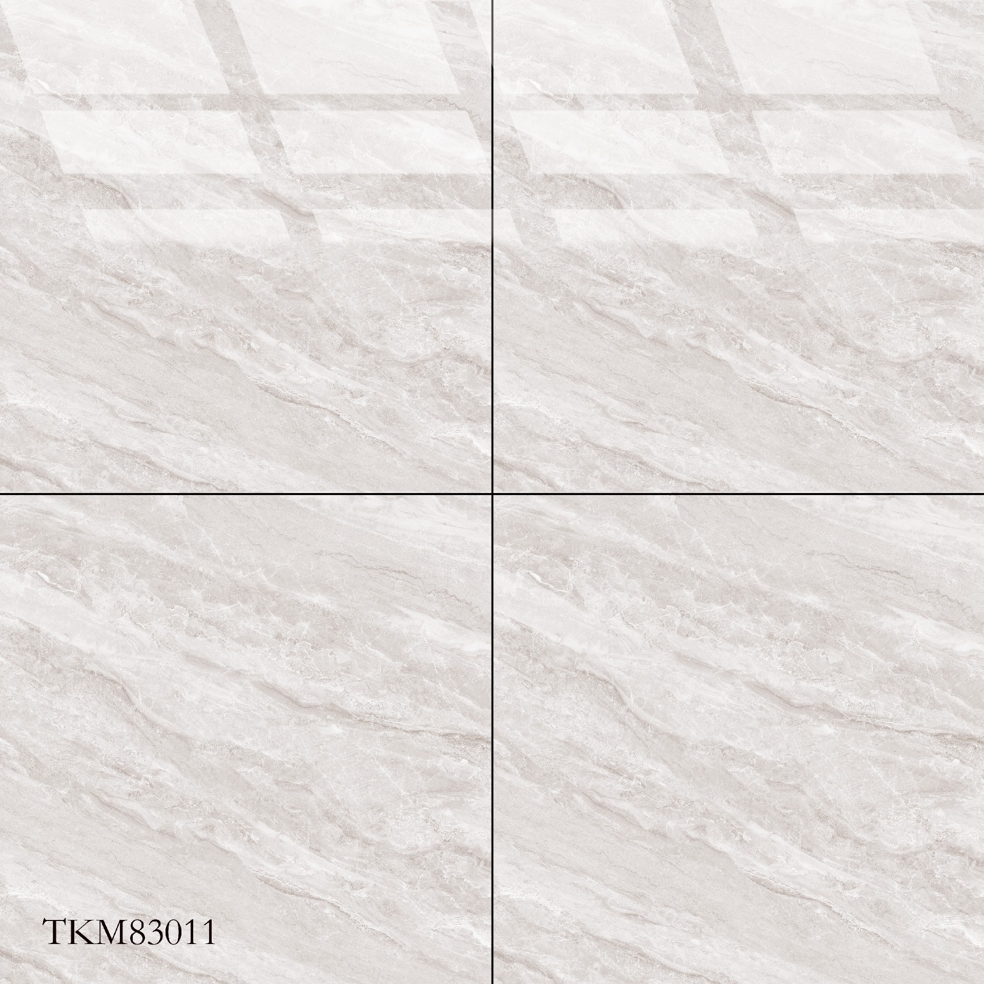 TKM83011