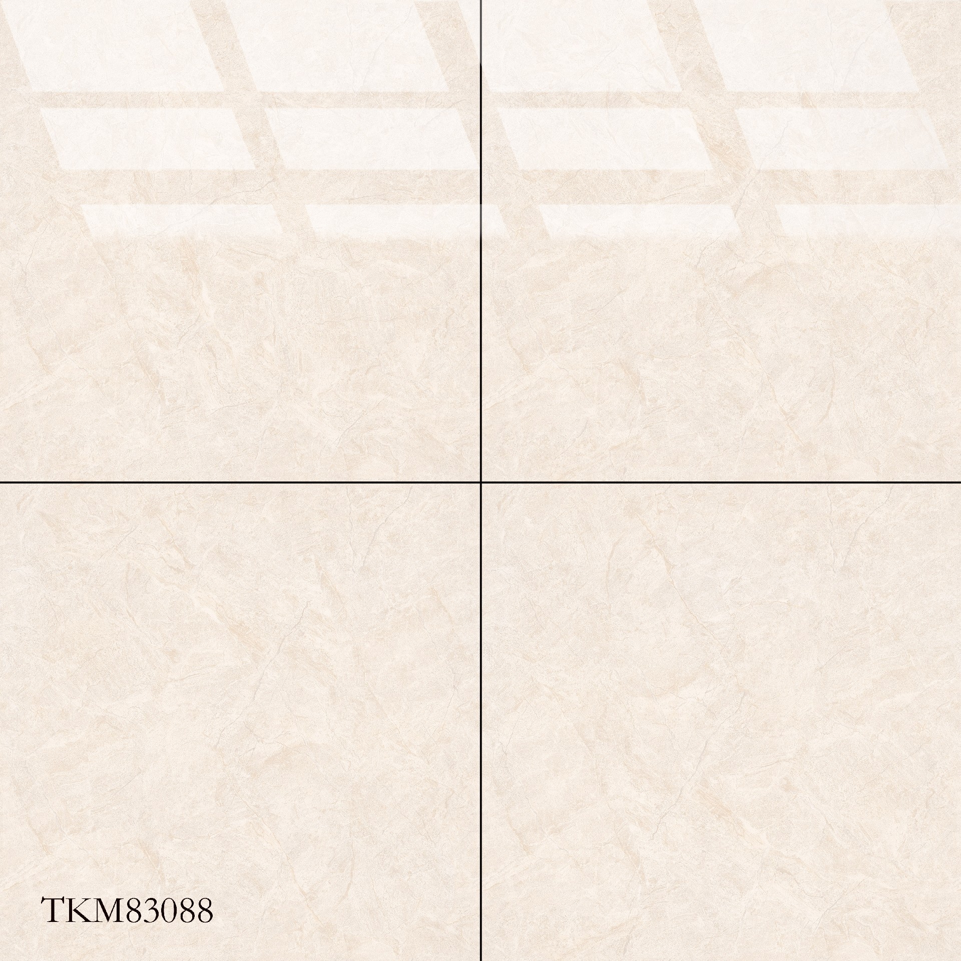 TKM83088