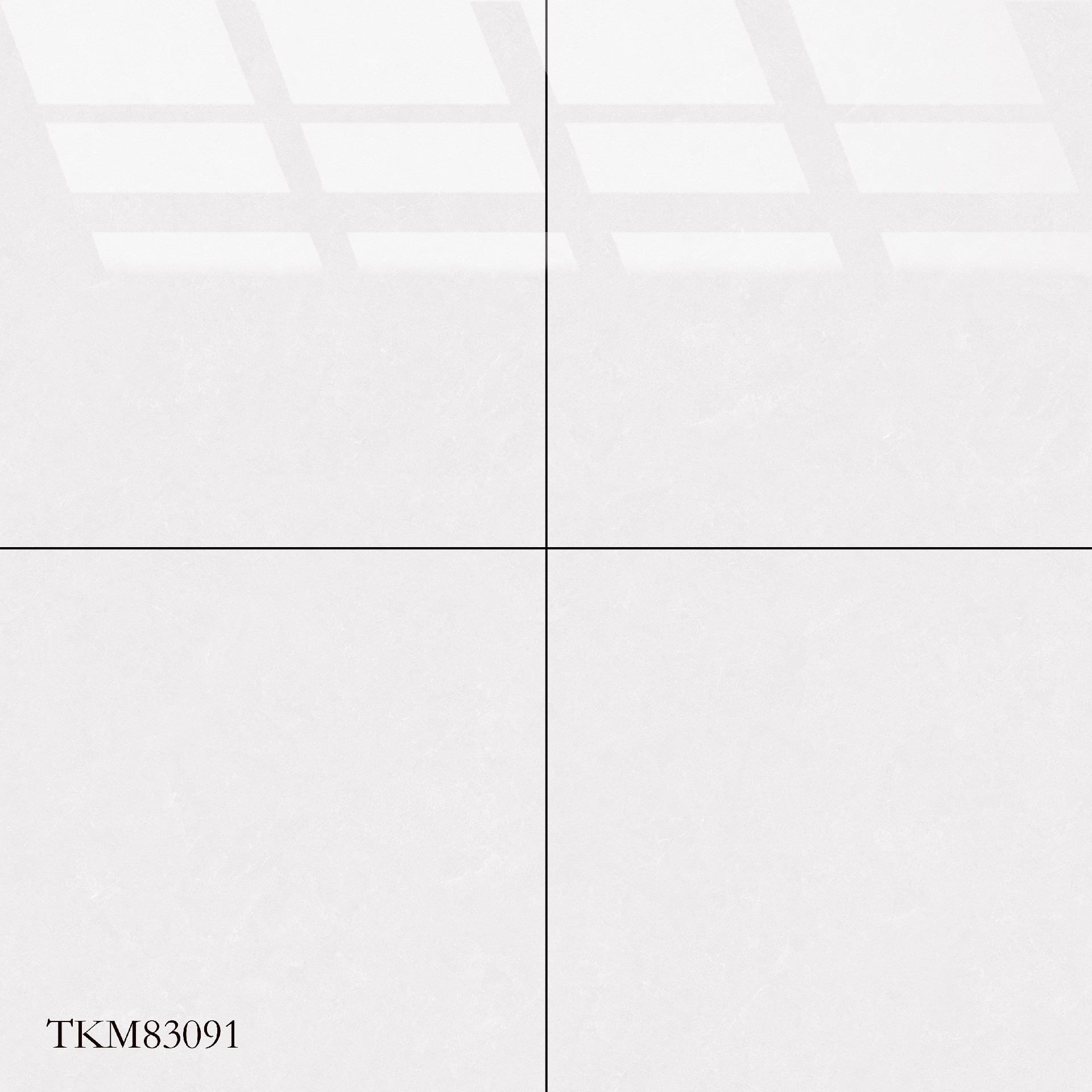 TKM83091