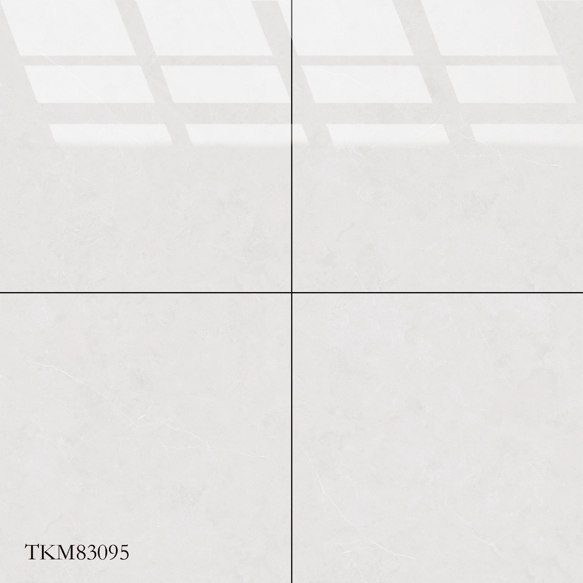 TKM83095