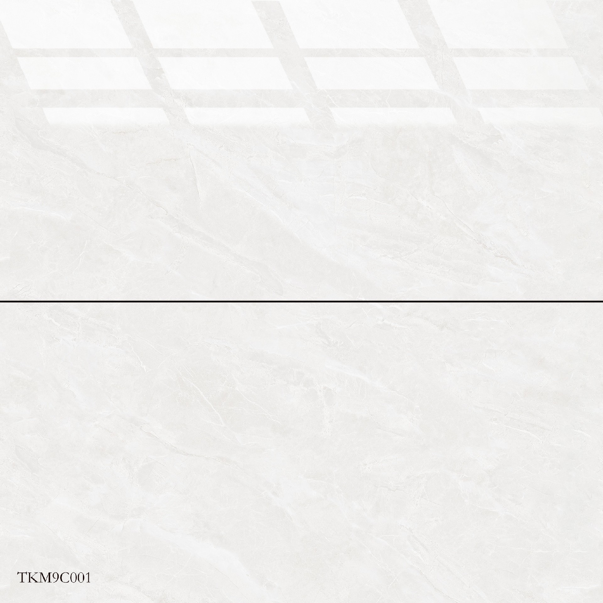 TKM9C001