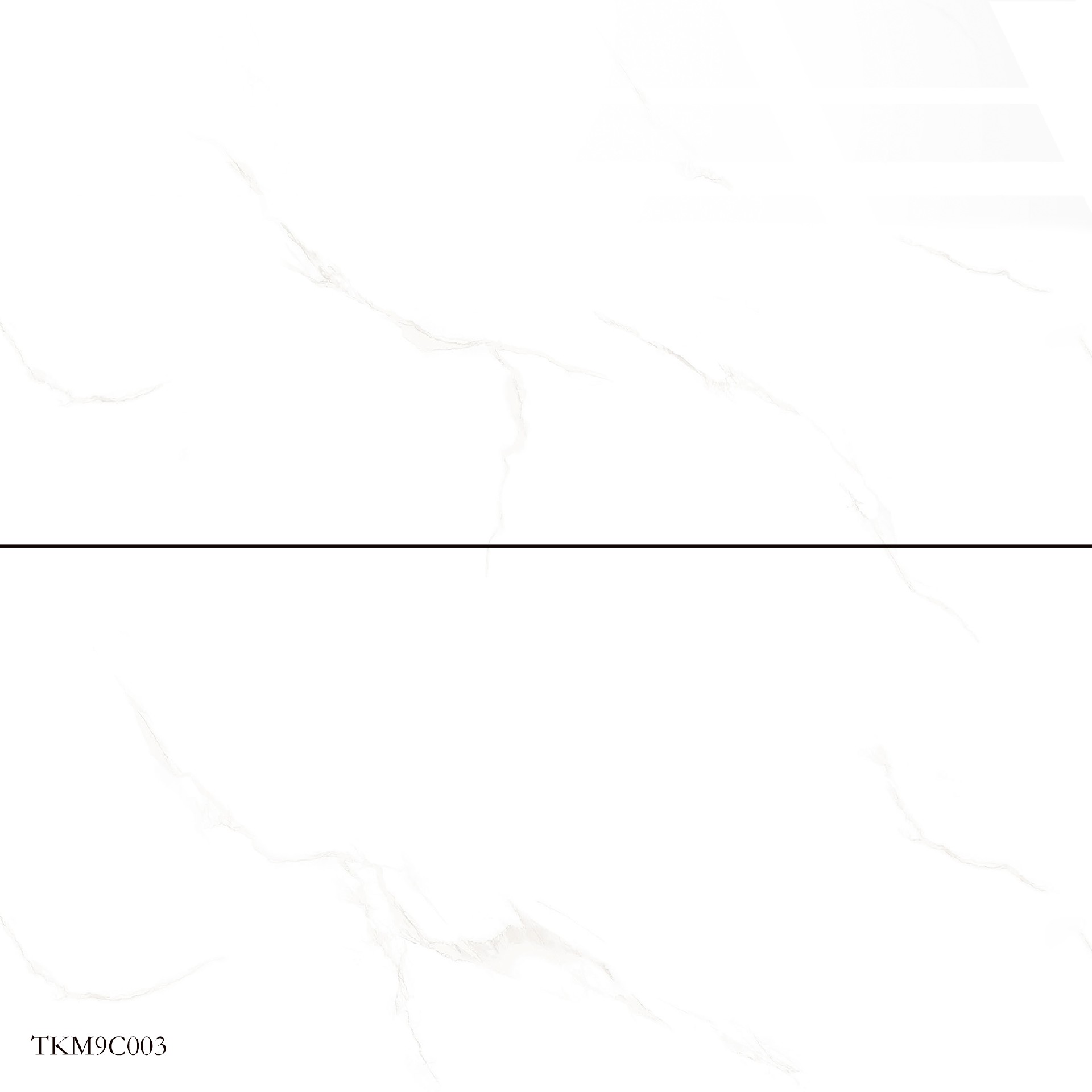 TKM9C003