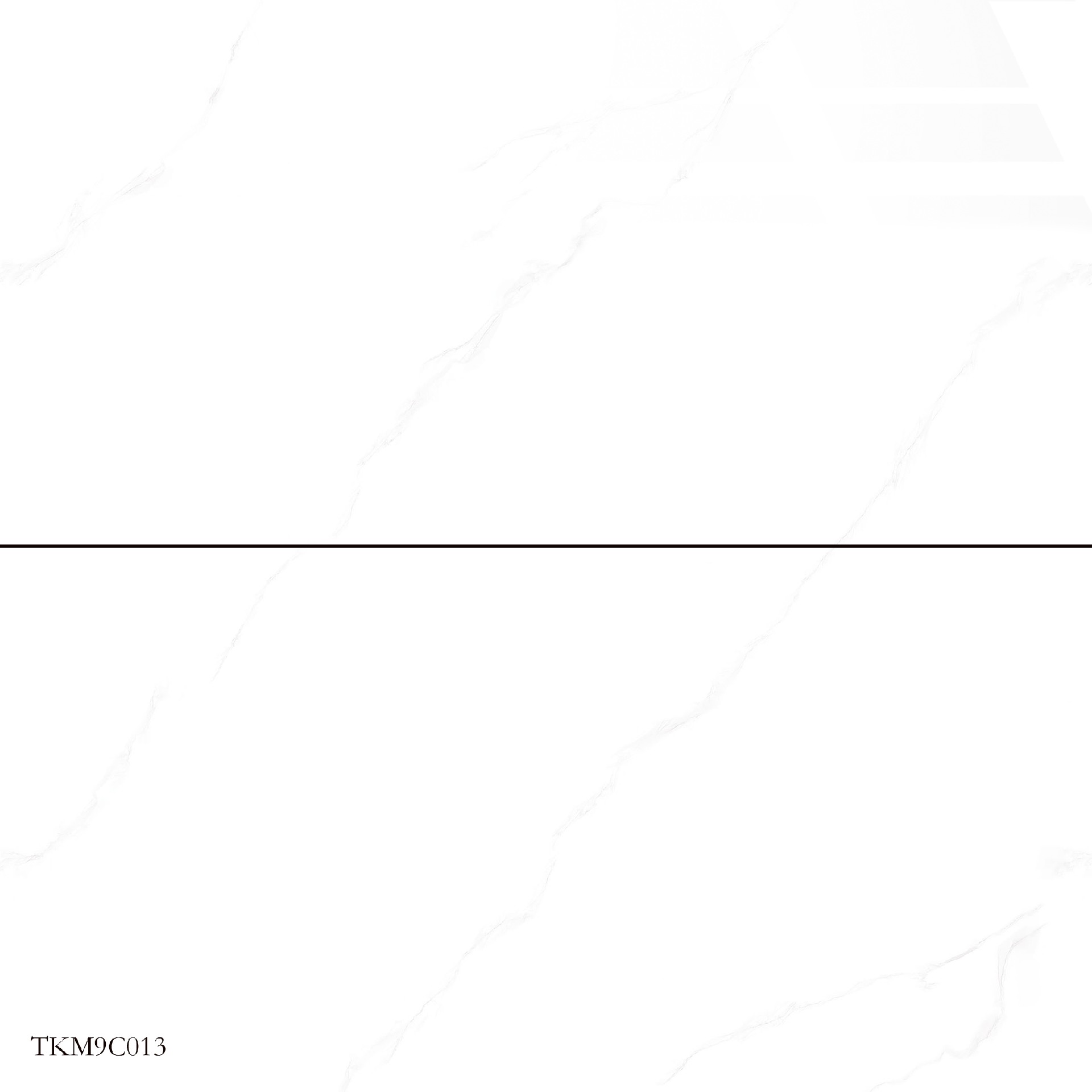 TKM9C013