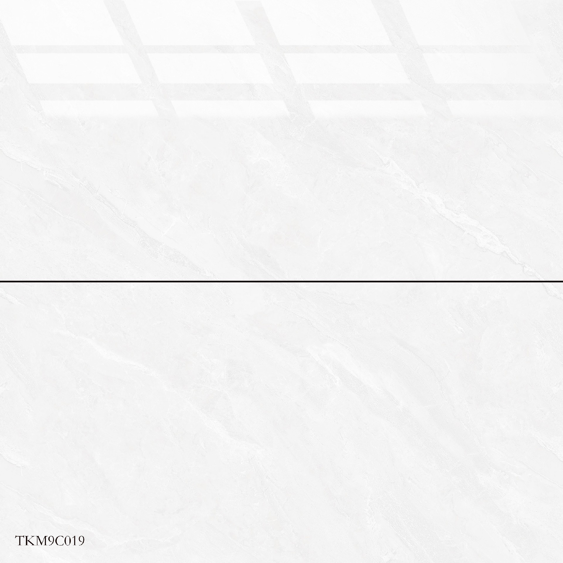 TKM9C019